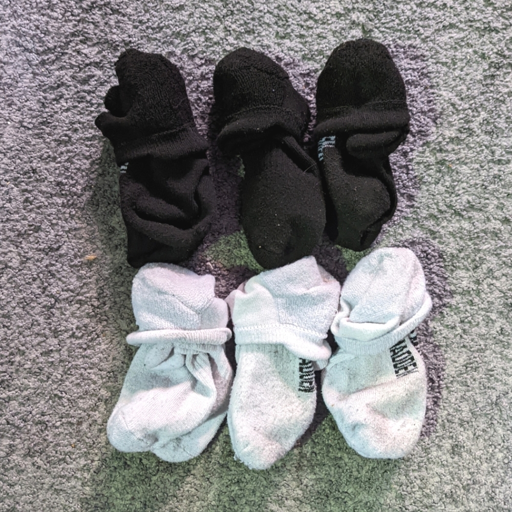 6pc ankle socks women
